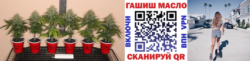 закладка  Мамадыш  KRAKEN   ТГК вейп с тгк 