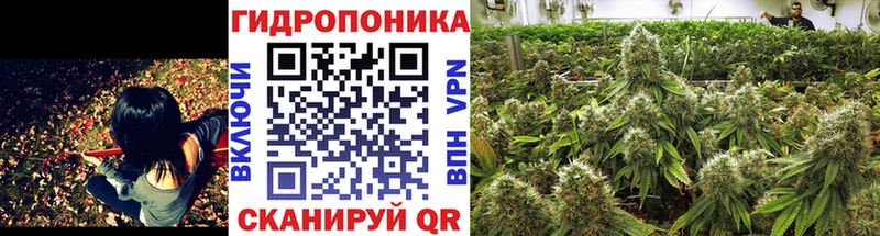 продажа наркотиков  мега как войти  Шишки марихуана конопля  Мамадыш 